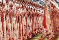شعبة القصابين: أسعار اللحوم ارتفعت بنسبة 5% بسبب الدولار