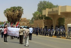 السودان تفرج عن الطلاب المصريين