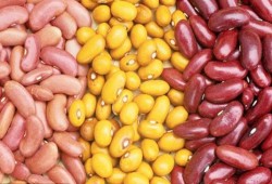 كيف تحافظ على وزنك بعد نجاح الرجيم؟