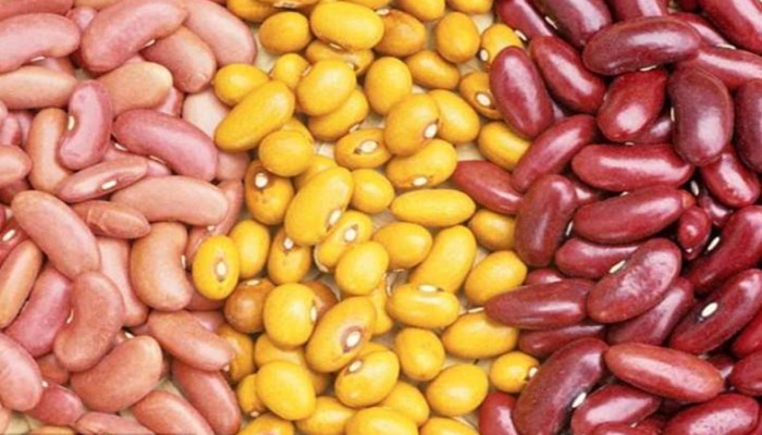 كيف تحافظ على وزنك بعد نجاح الرجيم؟