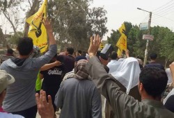 أحرار الفيوم ينتفضون فى جمعة "قوتنا فى وحدتنا"