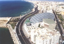 حشرات طائرة تنتشر في شوارع الإسكندرية