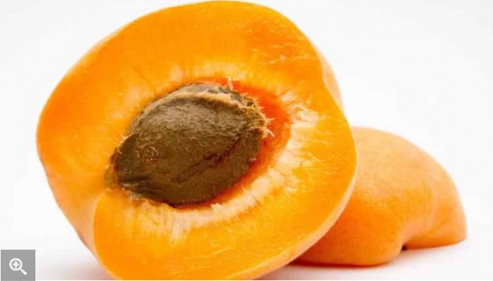 دليلك الشامل إلى فوائد المشمش