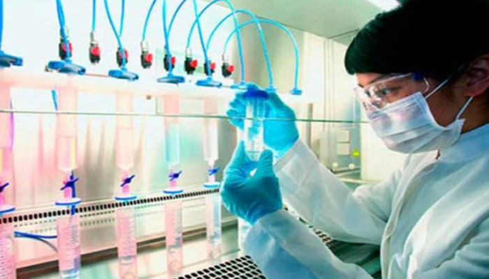 علماء يابانيون ينجحون بزراعة جلد ينتج شعرا حقيقيا