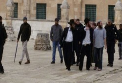 توتر بالأقصى عقب محاولة أداء مستوطنين طقوس تلمودية