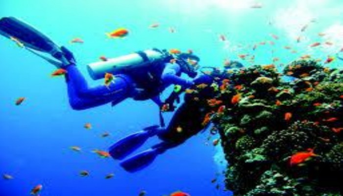 مصر تخسر أهم 40 موقعا للغوص بعد تخلي السيسي عن جزيرتي صنافير وتيران للسعودية