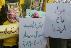 وقفة نهارية لثوار بئر العبد ضمن فعاليات "قوتنا فى وحدتنا"