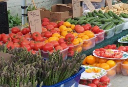 الجهاز المركزي للتعبئئة والإحصاء: التضخم في مصر يرتفع بنسبة 1.4%