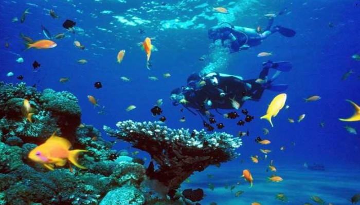 التنازل عن تيران وصنافير يكبد السياحة المصرية خسائر هائلة