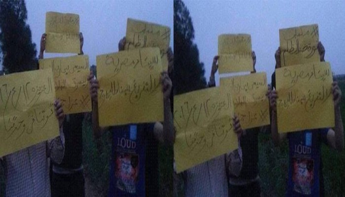 فعاليات لثوار "المنزلة" بالدقهلية تطالب برحيل العسكر