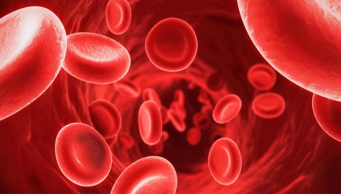 بالإنفوجرافيك: أغذية مفيدة في علاج الأنيميا