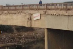 "السيسي خربها" حملة فنية تغزو شوارع البحيرة