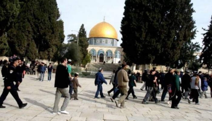 بحمايةٍ أمنية مشددة من قوات الاحتلال الصهيوني مستوطنون يقتحمون باحات الأقصى