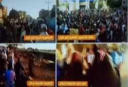 ثوار المنوفيه ينظمون ١٨ فاعليه في جمعه "الارض هي العرض"