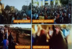 ثوار المنوفيه ينظمون ١٨ فاعليه في جمعه "الارض هي العرض"
