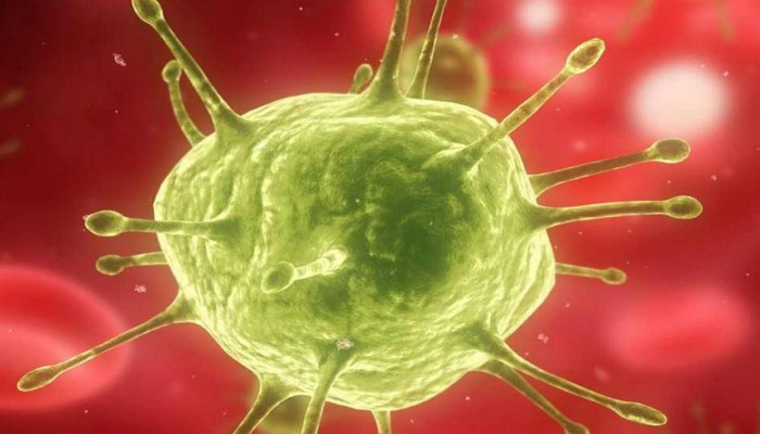 اكتشاف طريقة لعلاج فيروس "الكبد الوبائي" في 6 أسابيع فقط