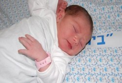 سوهاجي يطلق اسم "صنافير" على مولودته الجديدة