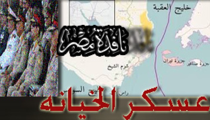 بالفيديو رائعة الدكتور صلاح عبد الله (بيع بلادك)