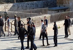 دعوات لتقديم قرابين "عيد الفصح" غداً أمام الأقصى