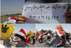 أحرار الفيوم يدعون للنزول في 25 إبريل