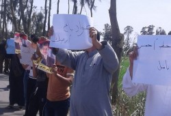 ثوار الدقهلية يدشنون تظاهرتهم في جمعة "ارحل"