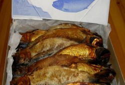 تاجر بأسيوط يُخزن 27.5 طن أسماك مملحة "فاسدة" لترويجها بشم النسيم