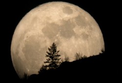 البحوث الفلكية: بدر أمس واليوم الأصغر فى 2016