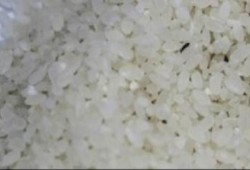 5 فوائد صحية مذهلة لشرب ماء الأرز