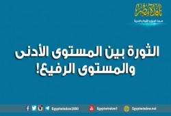 الثورة بين المستوى الأدنى والمستوى الرفيع!