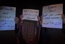 وقفة ليلية تتحول لمسيرة لثوار فايد تدعوا المواطنين للمشاركة فى فاعليات الغد