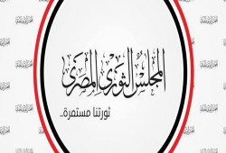 "المجلس الثوري" يدعو إلى المشاركة في مظاهرات 25 أبريل