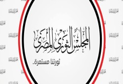 "المجلس الثوري" يدعو إلى المشاركة في مظاهرات 25 أبريل