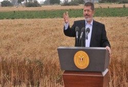 مقلدا الرئيس مرسي .. السيسي يفتتح اليوم موسم حصاد القمح الذي دمر زراعته