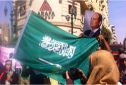 الأشعل: رفع العلم السعودي بدل المصري إهانة للسيسي