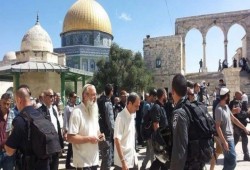 مفتي القدس يشيد بصمود المرابطين ضد اقتحامات الصهاينة لـ"الأقصى"