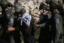 فلسطين المحتلة.. مواجهات عنيفة حول قبر "يوسف" بنابلس