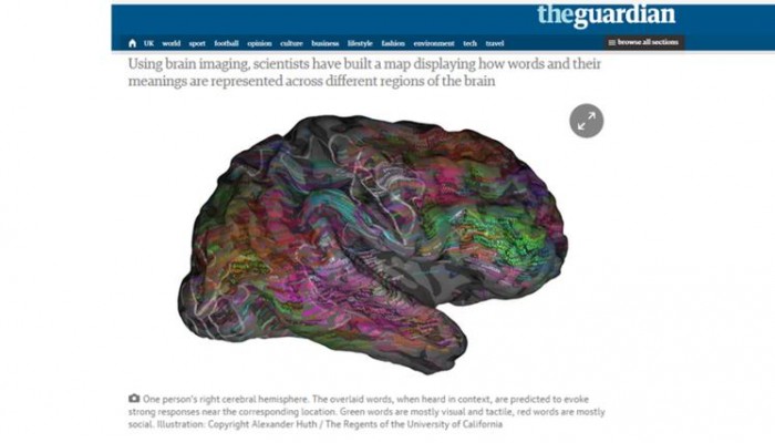 علماء الأعصاب يبتكرون أطلسا للدماغ