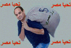 السيسي يستولي على 121 مليار جنيه منذ انقلاب 2013