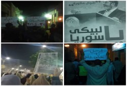 متظاهرو بني سويف يرفعون لافتات (لبيك يا سوريا)