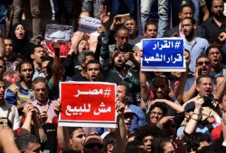 إخلاء سبيل ١٢ محاميًا احتجزوا بتهمةبـ«ترويج شائعات عن تيران وصنافير» بالقليوبية