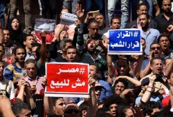 إخلاء سبيل ١٢ محاميًا احتجزوا بتهمةبـ«ترويج شائعات عن تيران وصنافير» بالقليوبية