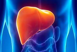 شركة أمريكية تنتج عقارا جديدا لإيقاف تليف الكبد