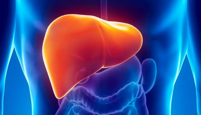شركة أمريكية تنتج عقارا جديدا لإيقاف تليف الكبد