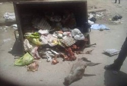 فى عهد السيسي ... رأس حمار وهيكله في صندوق قمامة وفراخ مسممة بالسويس