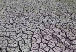 سد النهضة يهدد زراعة الارز بمركز بلقاس بالدقهلية