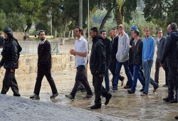 فلسطين المحتلة.. اقتحام الأقصى وحملة اعتقالات بالضفة