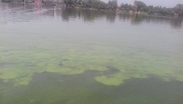 ذعر بين اهالى رشيد بعد ظهور بقعة تلوث جديدة بمياه النيل