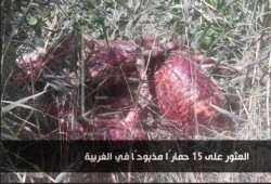 أهالي يعثرون على 15 حمارًا مذبوحًا في الغربية