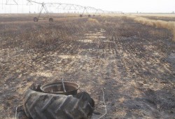 الشرقية : صاحب القمح المحترق بالصالحية الجديدة يحمل شركة الكهرباء المسئولية