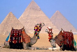 حكومة الانقلاب: انخفاض الدخل السياحى بنسبة 60% فى الربع الأول من 2016